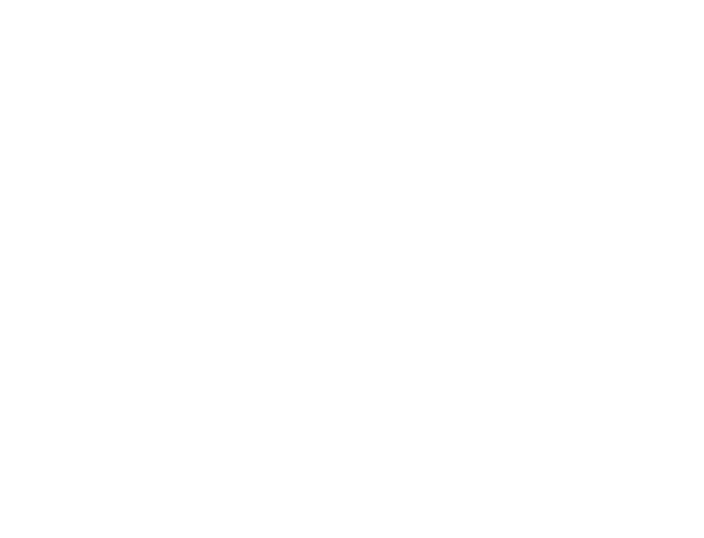 VOID COLLECTIVE
